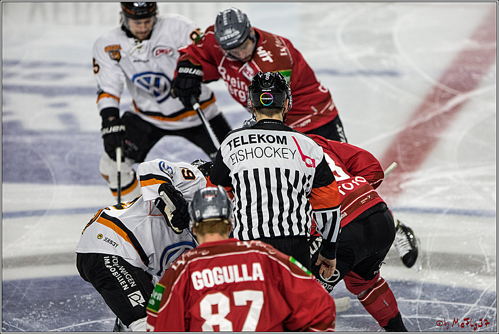 DEL, Koelner Haie - Grizzlys Wolfsburg, 21.03.2017